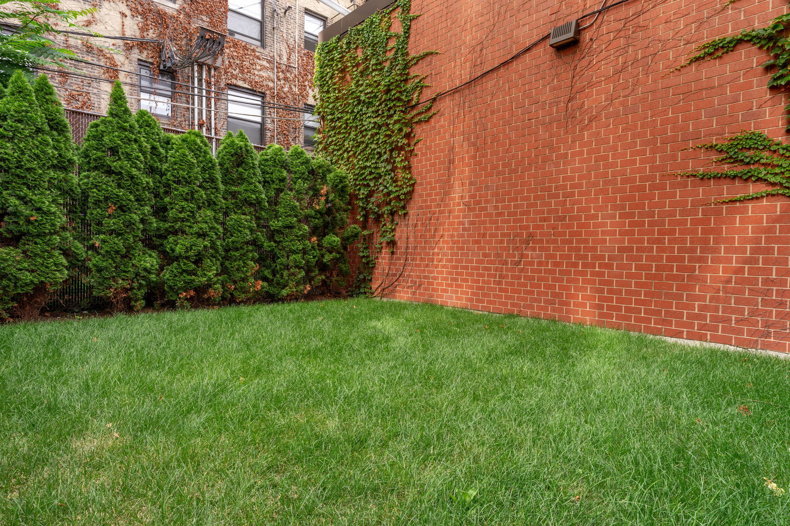 Property Photo: 725 W Waveland Avenue D IL 60613