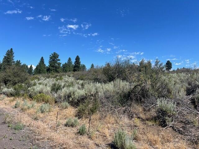 Property Photo:  Wrightwood Lot 16  OR 97624 