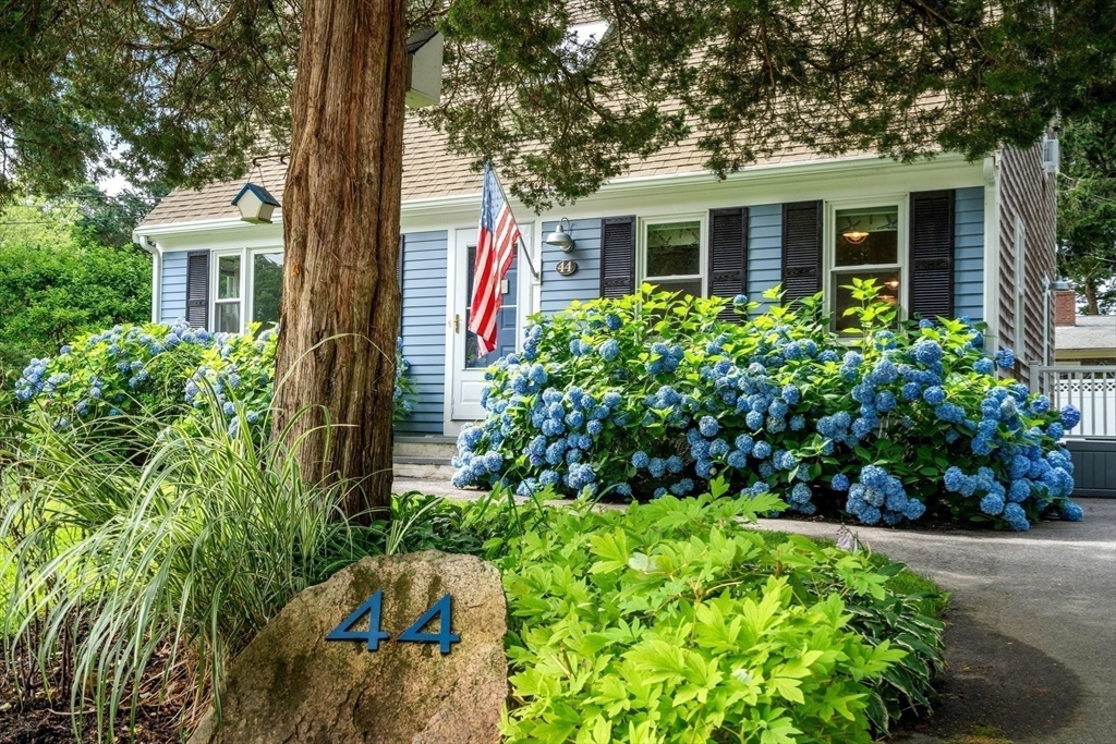 44 Hillside Avenue  Falmouth MA 02556 photo