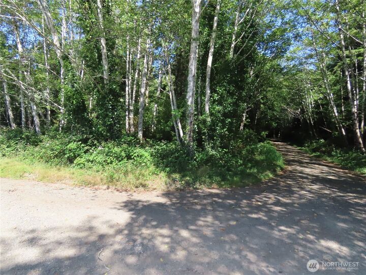 Property Photo:  0  Oregon Lane  WA 98520 