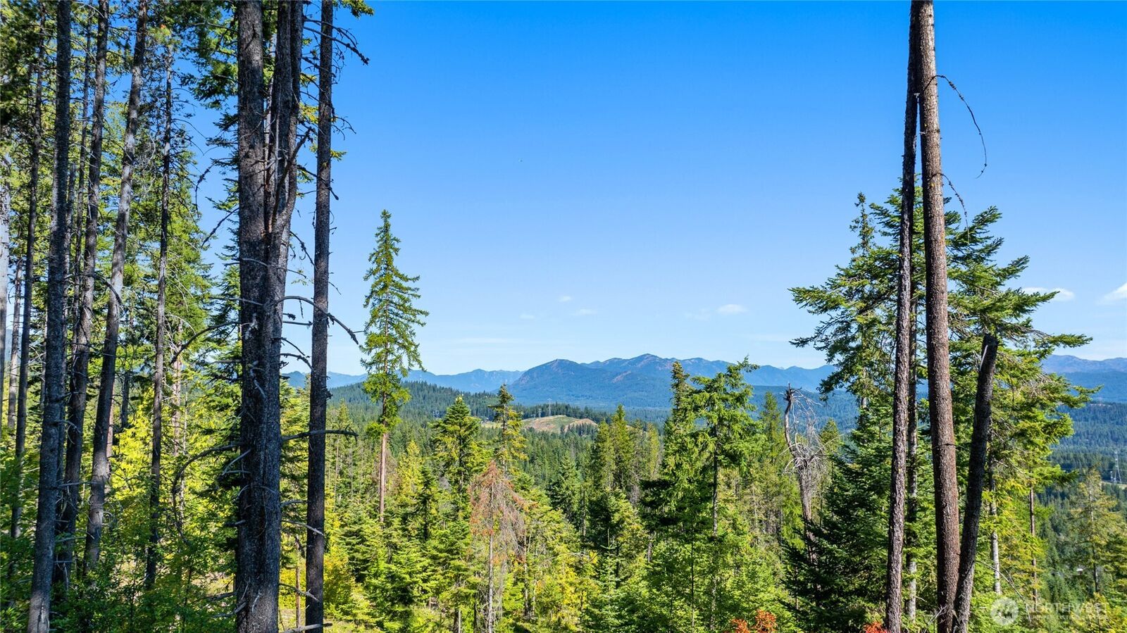 Property Photo:  991  Trailside Drive  WA 98922 
