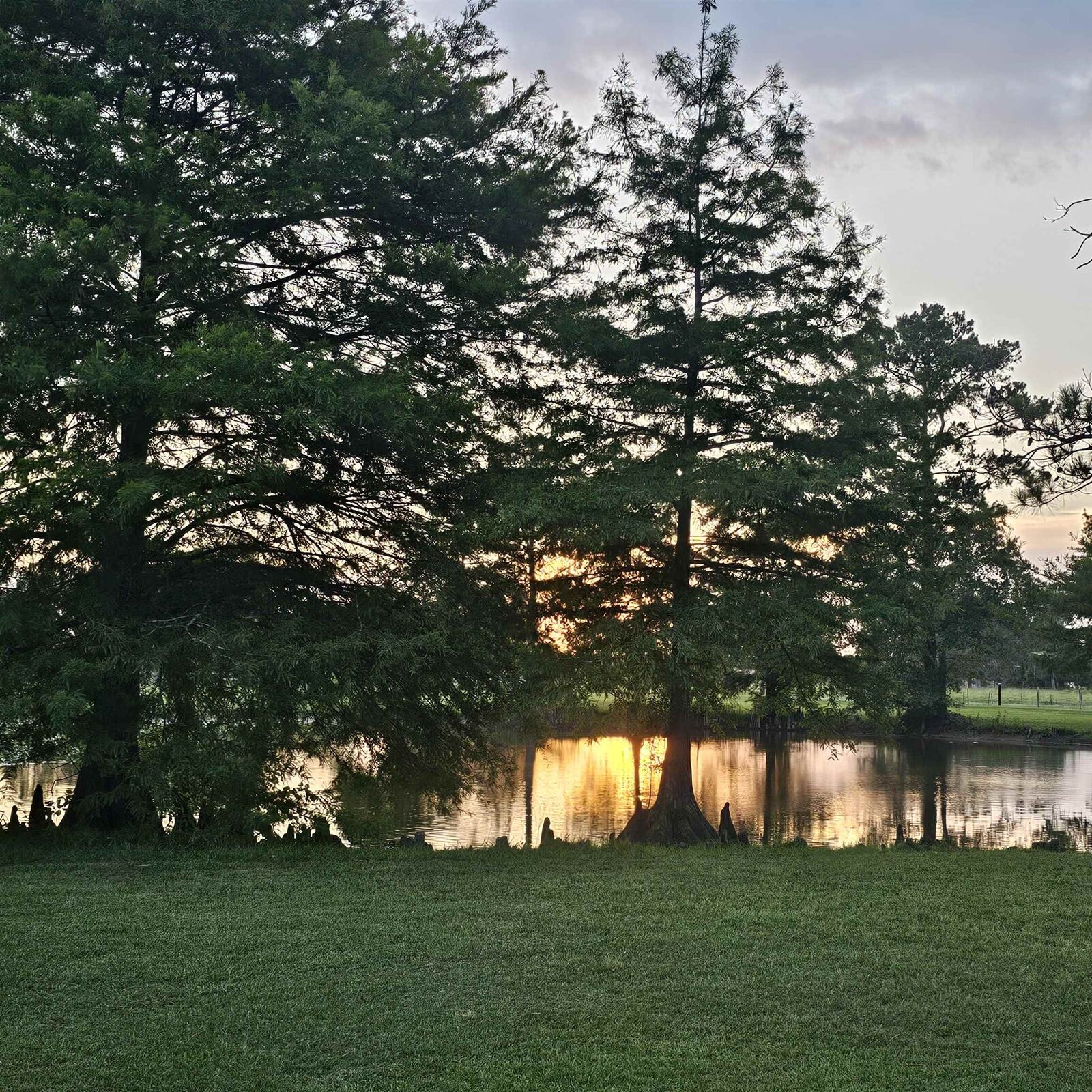 Property Photo: 1260 Fm 1078 TX 77632