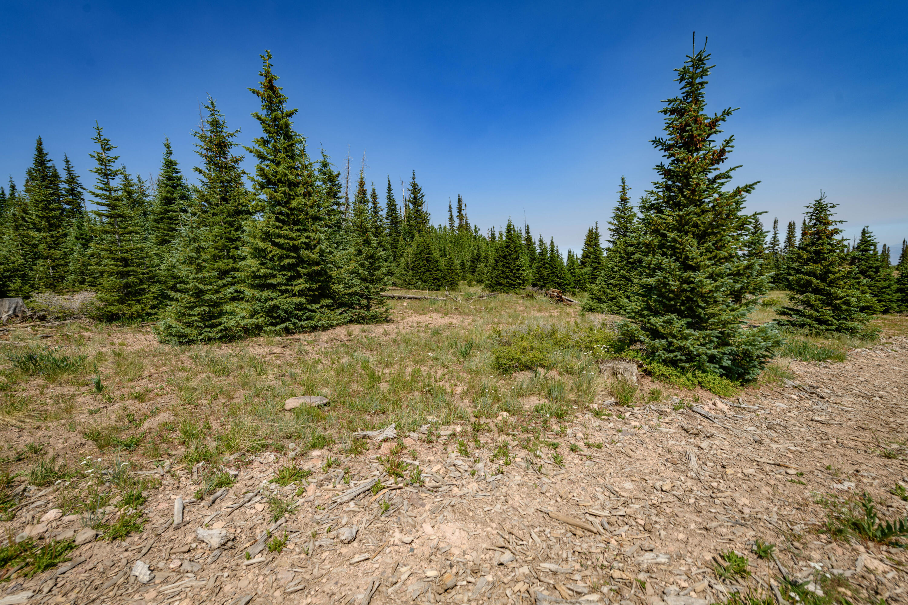 Property Photo:  Lot 29, Aspen Mdws SE Neighbor  UT 84719 