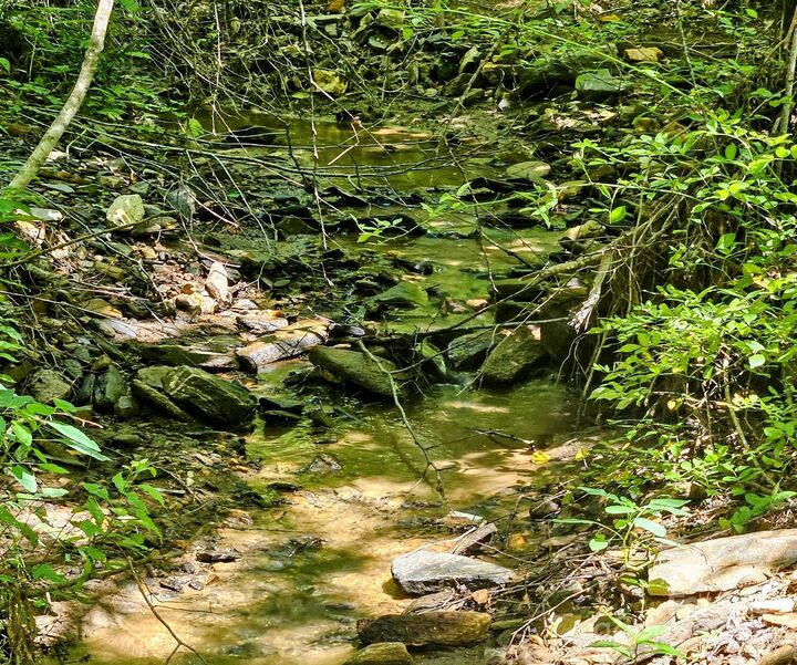 Property Photo: 99 Banjo Branch Road NC 28714
