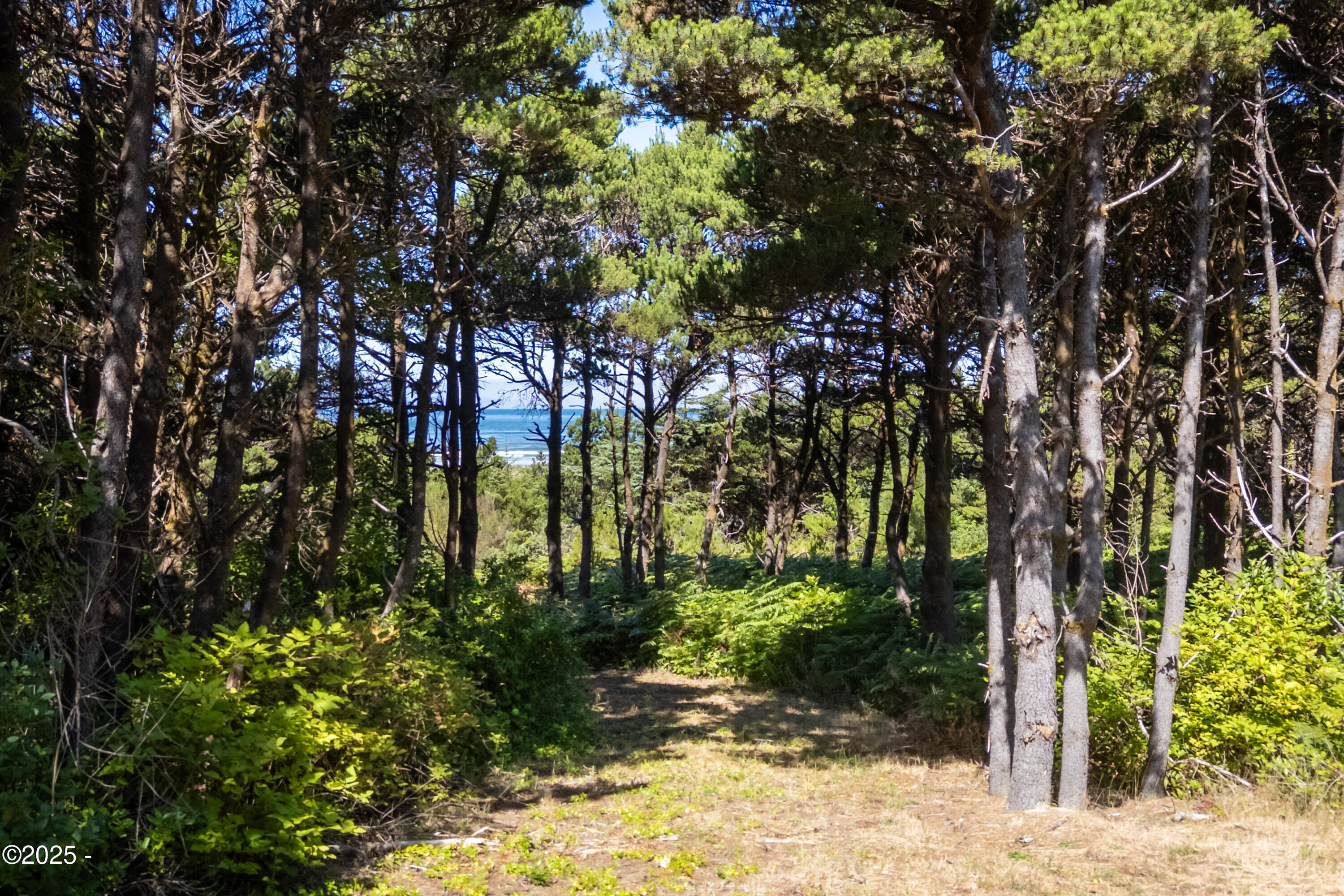 Property Photo: Tl 600 NW Pacific Coast Hwy OR 97394