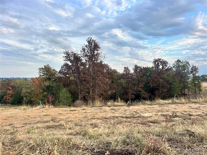 2377 Fiddler'S Close Road 115 Stb  Washington MO 63090 photo