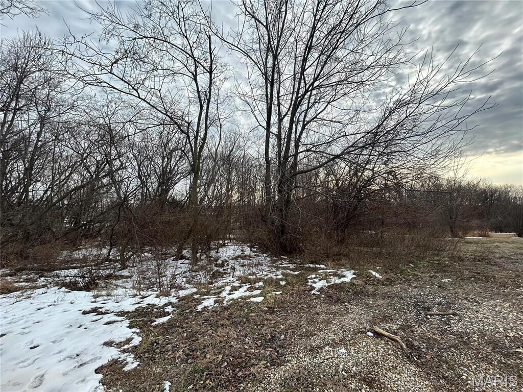 Property Photo:  19580 Hillcrest Dr  IL 62231 