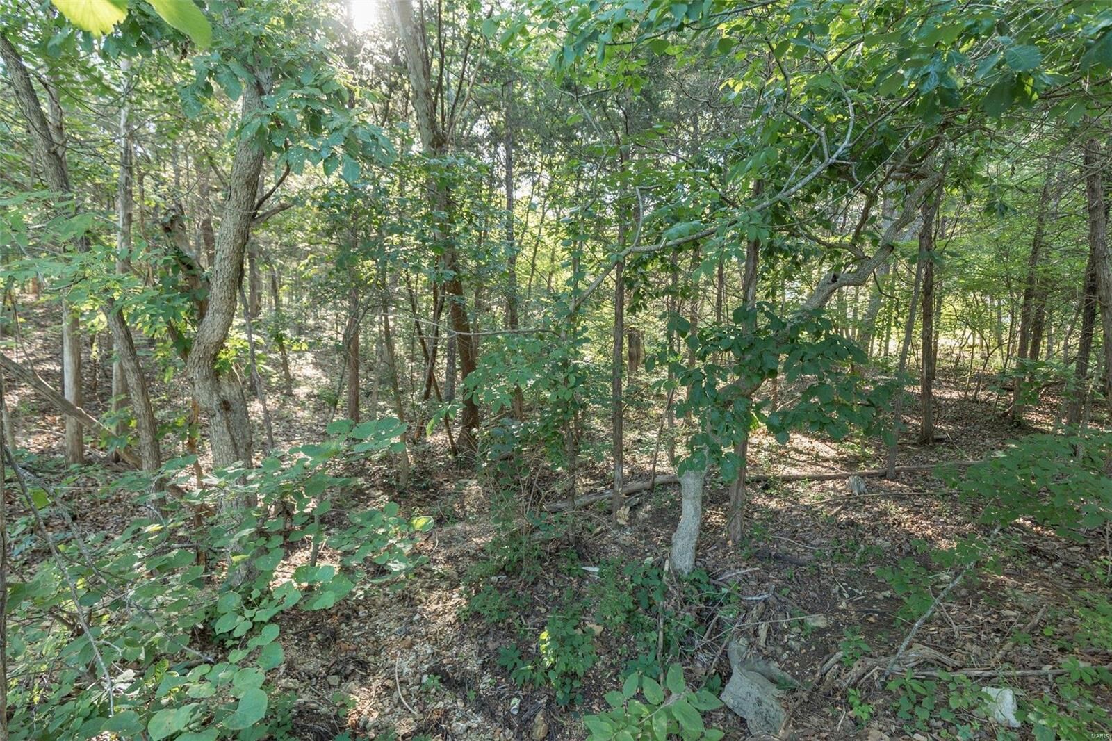 Property Photo: 10449 Lake Crest Drive MO 63050