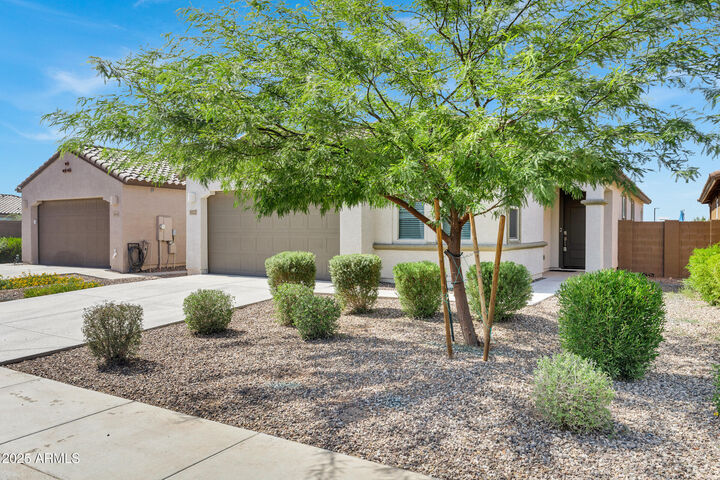 Property Photo:  3522 E Dakota Drive  AZ 85143 