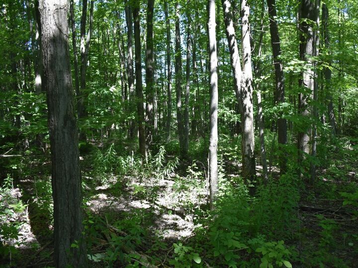 Property Photo:  3210-072-6 Blooming Valley Road  PA 16335 