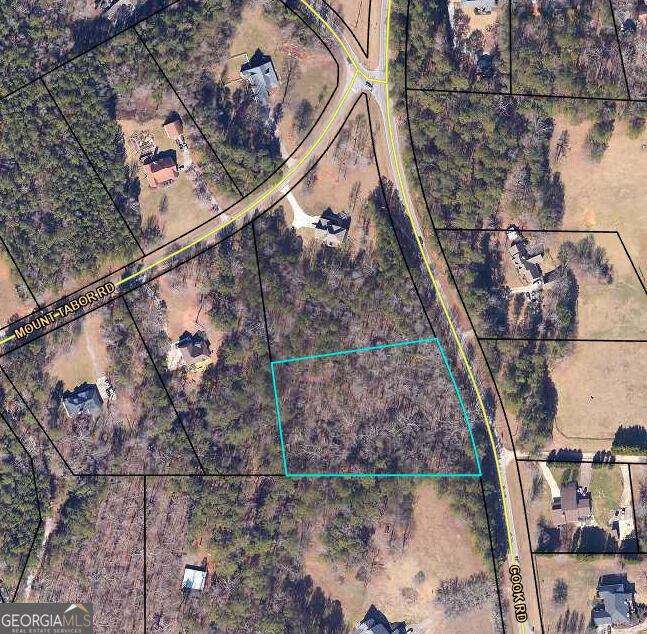 Property Photo: 0 Cook Road GA 30054