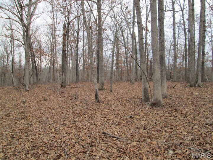 Property Photo: 0 Mo-30 Gravois Rd. 6 Ac MO 63077