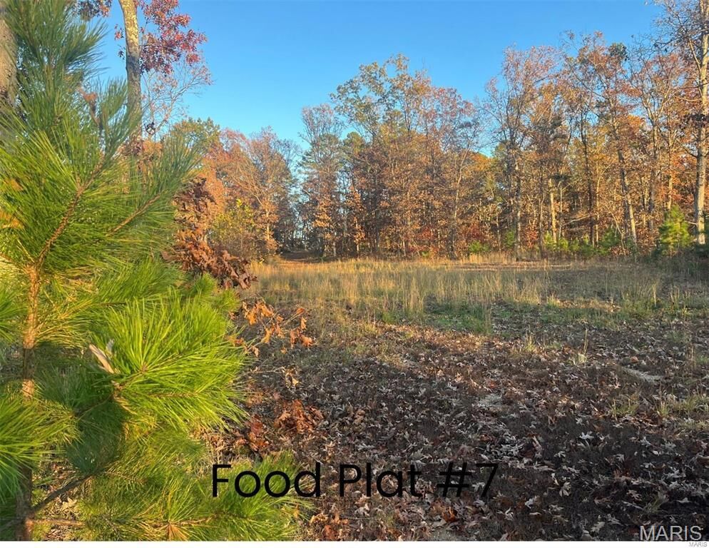 Property Photo:  0 Tract 2 (160+/- Acres) Lodge Road  MO 65441 