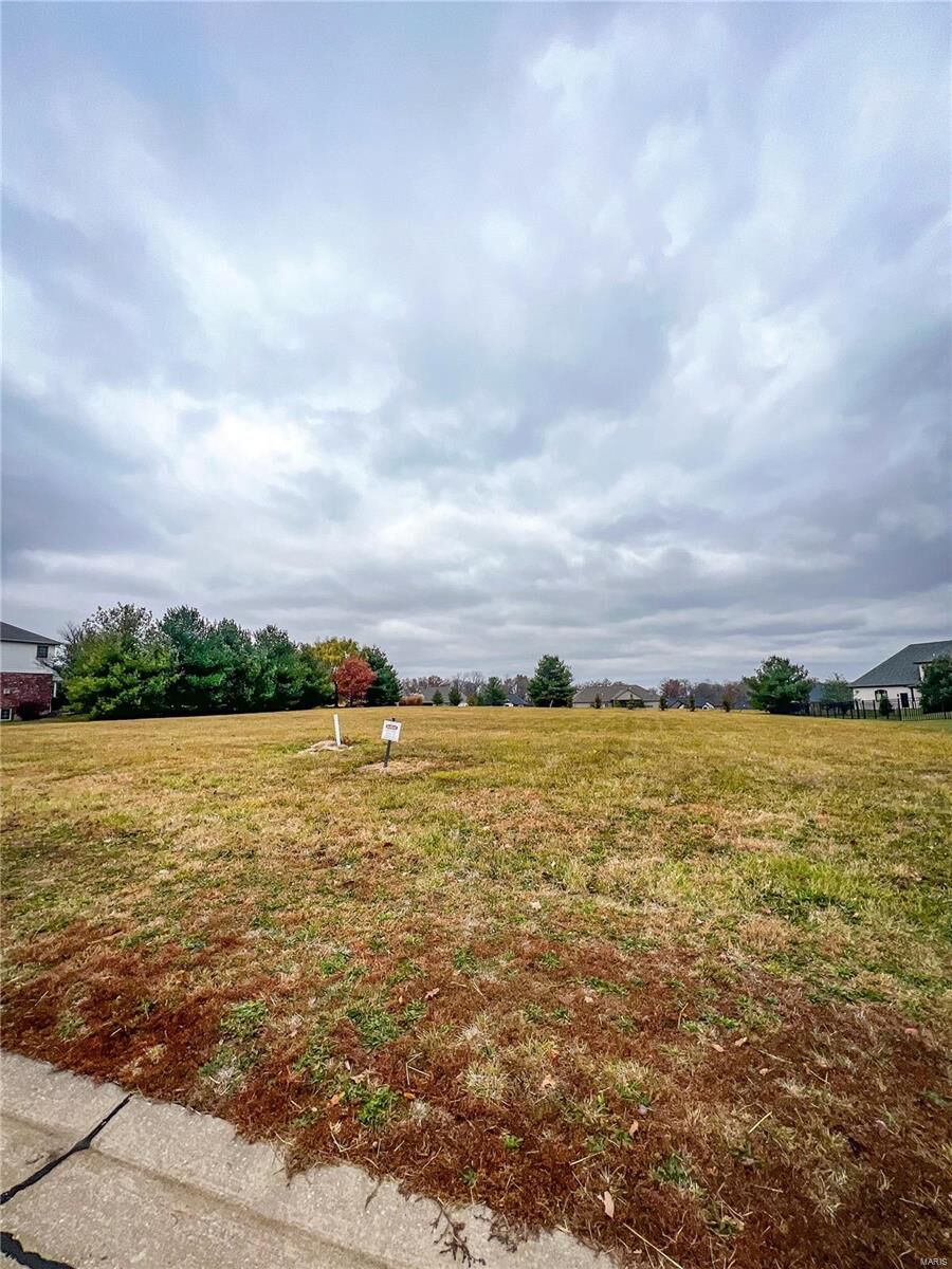 Property Photo: 523 Covington Dr IL 62298