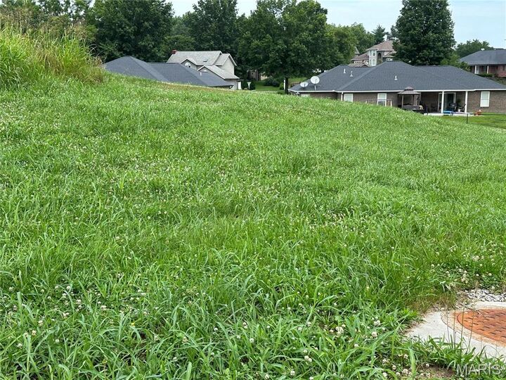 Property Photo: 3552 Mill View Crossing Way MO 63701