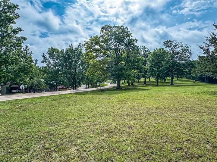 Tbd Appaloosa Drive  Holiday Island AR 72631 photo