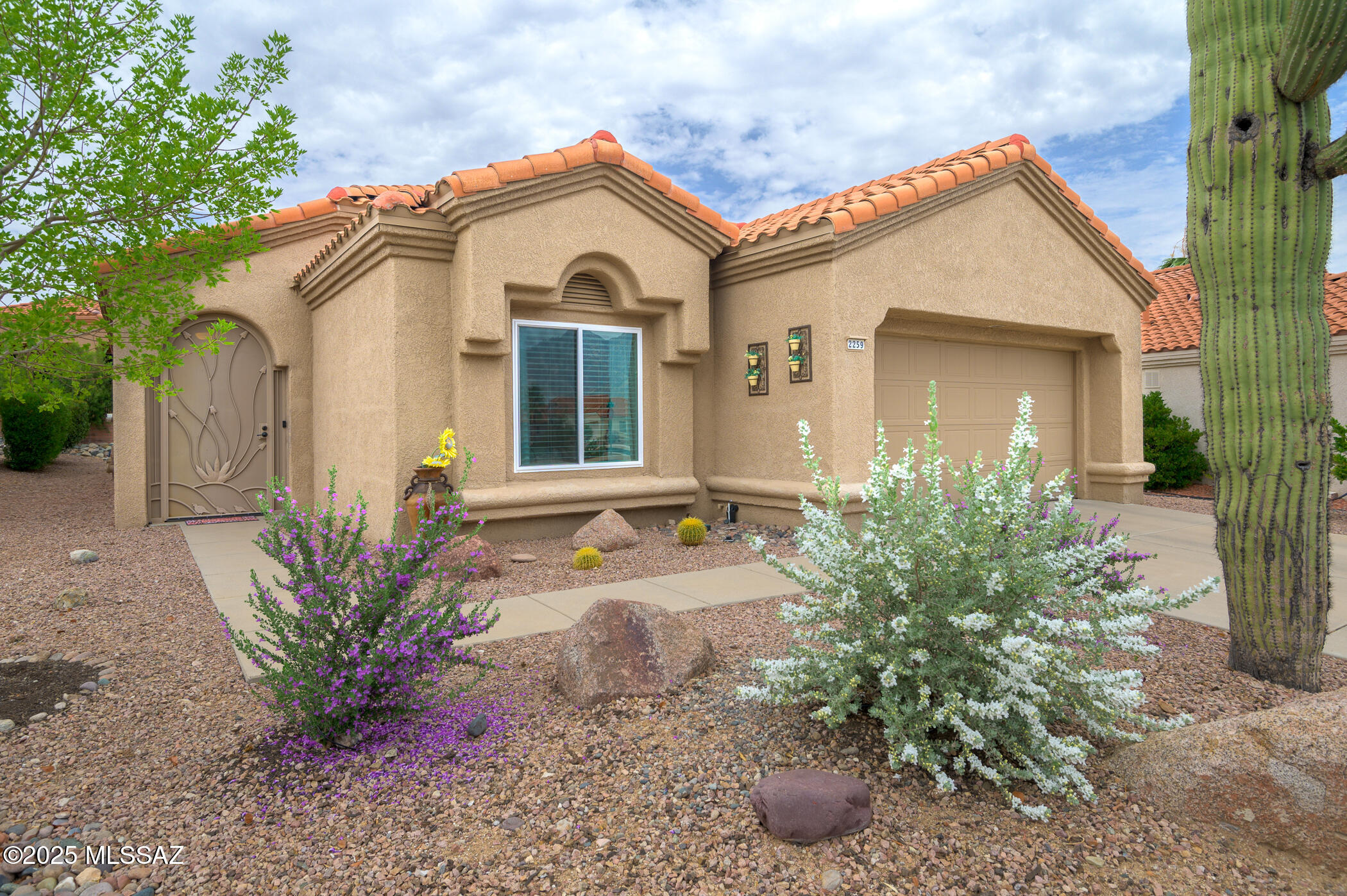 Property Photo:  2259 E Jonquil Street  AZ 85755 