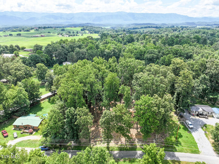 Property Photo:  Lot 4R J Mell Johnson Road  TN 37743 