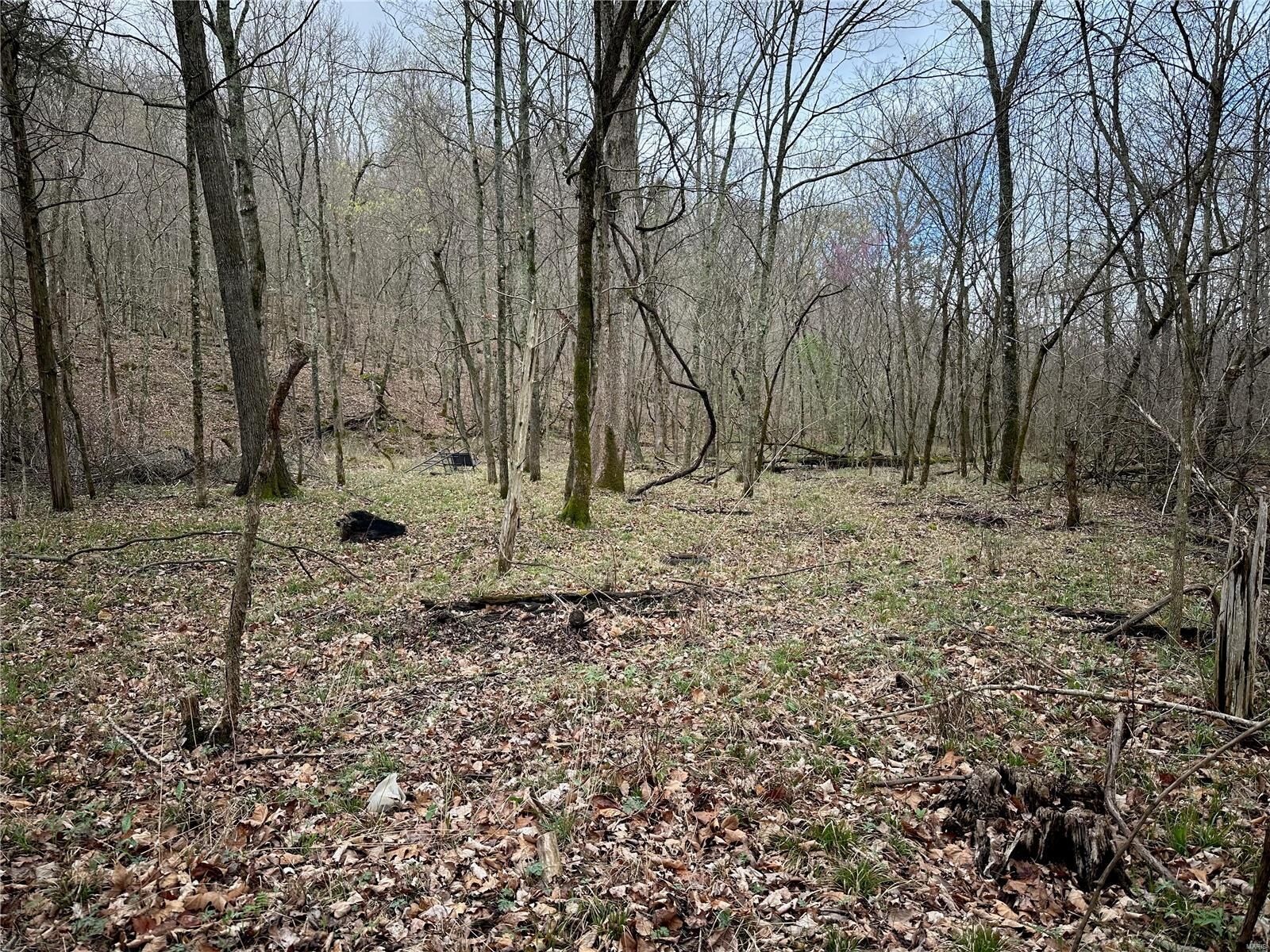 Property Photo: 14635 State Route 21 MO 63020