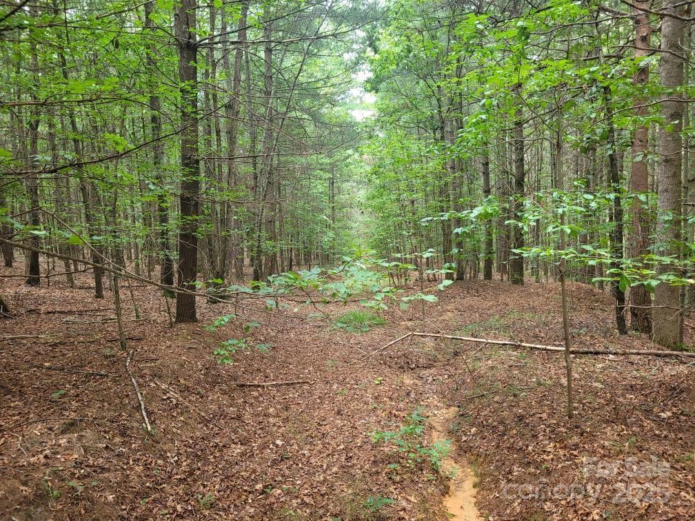 Property Photo: Lot 278 Scenic Vista Drive NC 28761