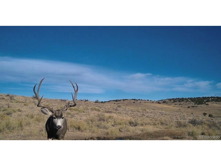 Property Photo:  Airport Rd  CO 81252 