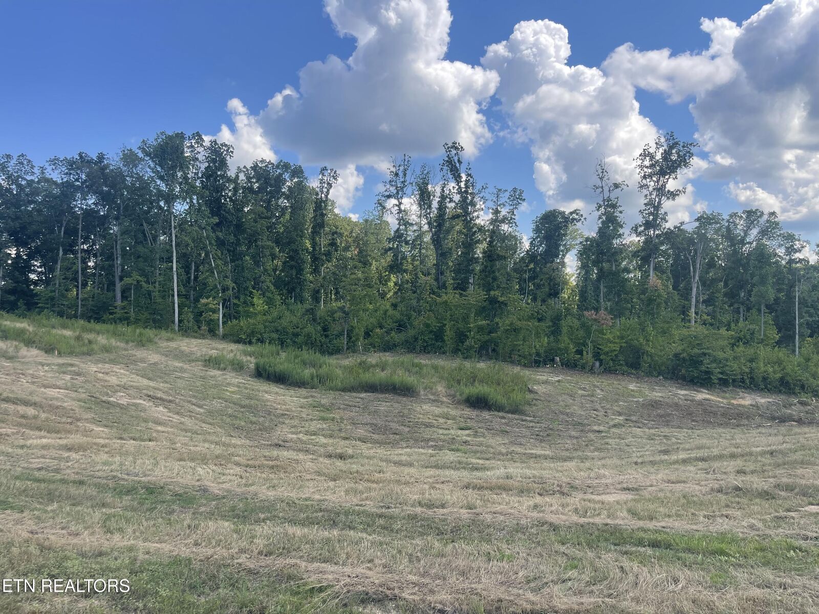 Property Photo:  Lot 16 Laura Boling Loop Rd  TN 37871 