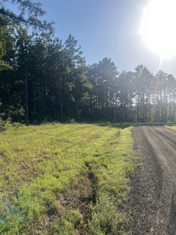 Property Photo:  Lot #36 Eagles Nest  TX 75929 