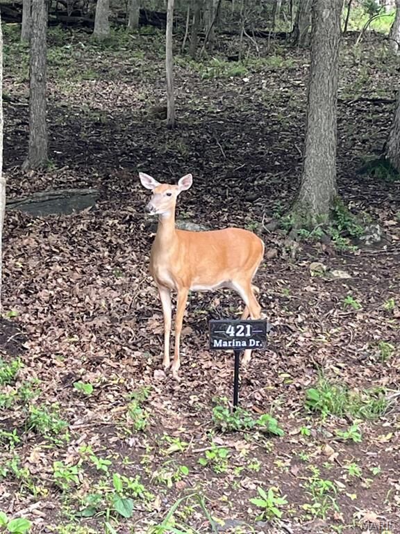 Property Photo:  421 Marina Drive  MO 63357 