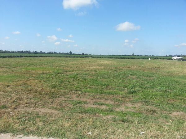 Property Photo: 1201 Lawrence MO 63801
