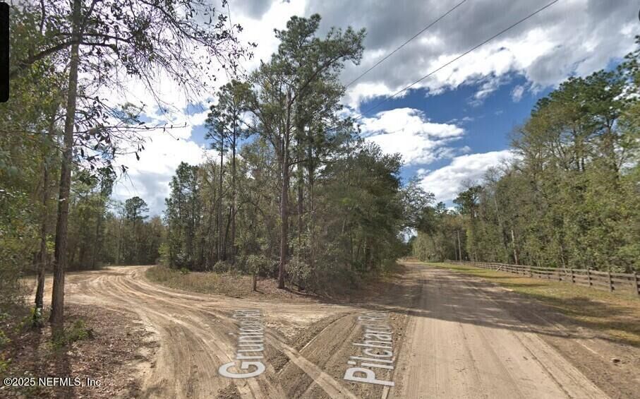 Property Photo: 0 Pilchard Road FL 32140