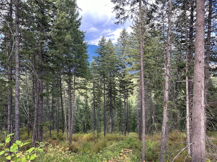 Nhn Mt Hwy 200  Trout Creek MT 59874 photo
