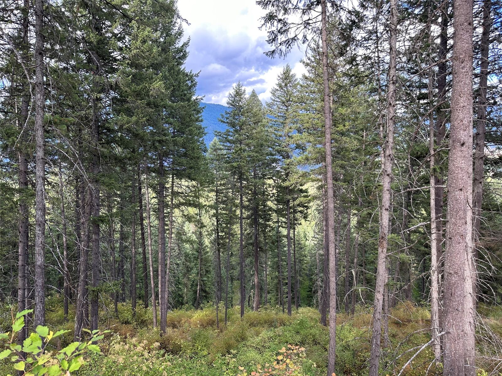 Property Photo: Nhn Mt Hwy 200 MT 59874
