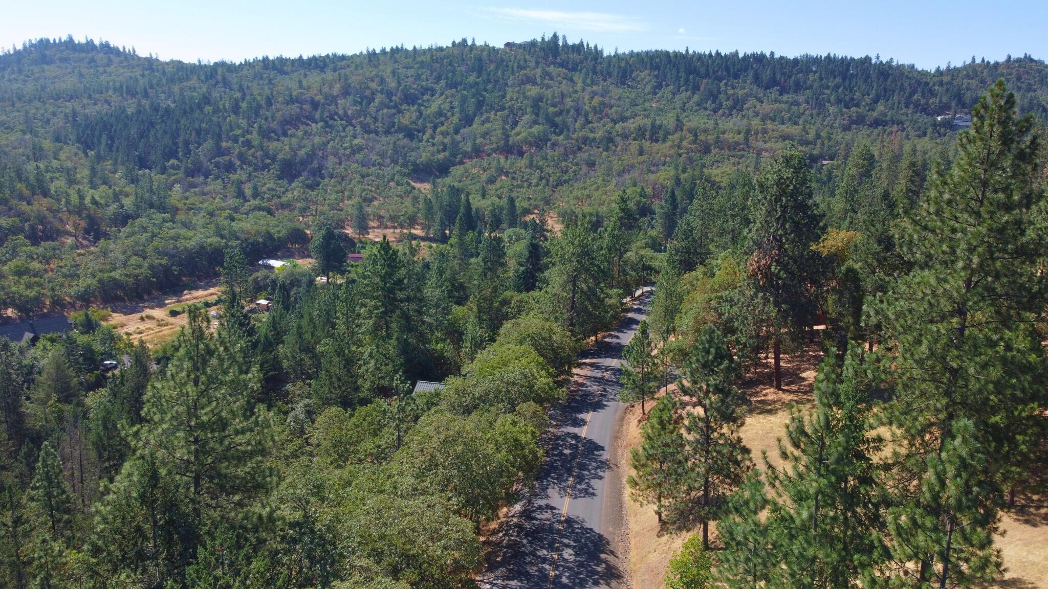 Property Photo:  238 Juanita Way  OR 97530 