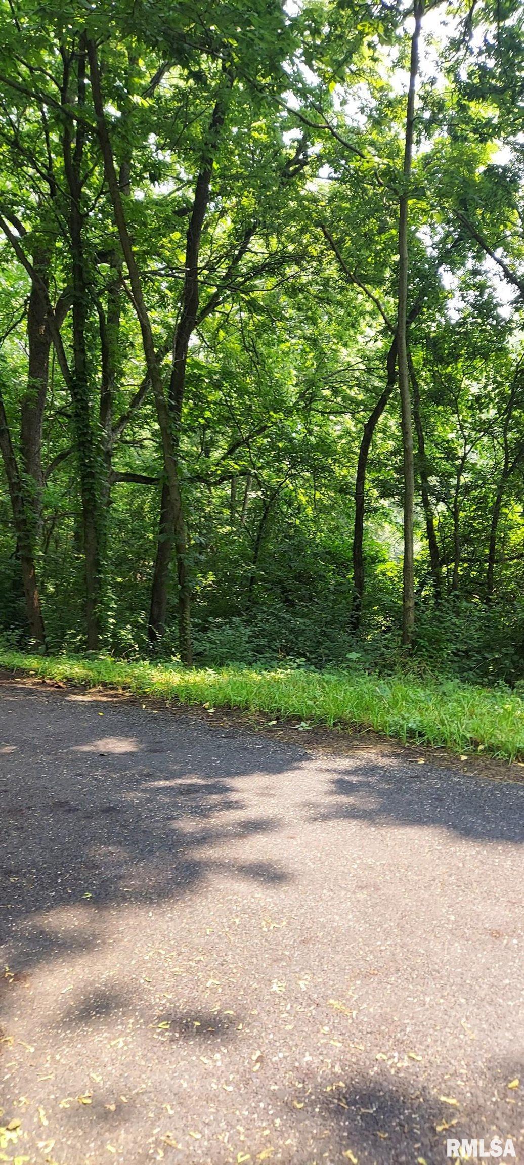 Property Photo:  0 W Bristol Hollow Road  IL 61525 
