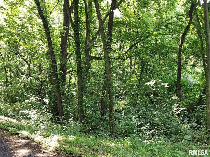 Property Photo:  0 W Bristol Hollow Road  IL 61525 