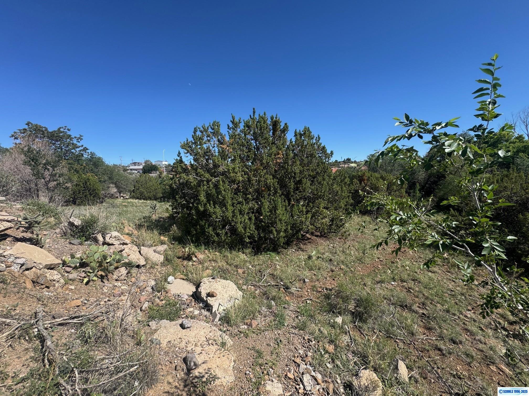 Property Photo:  2255 Pinos Altos Road  NM 88061 