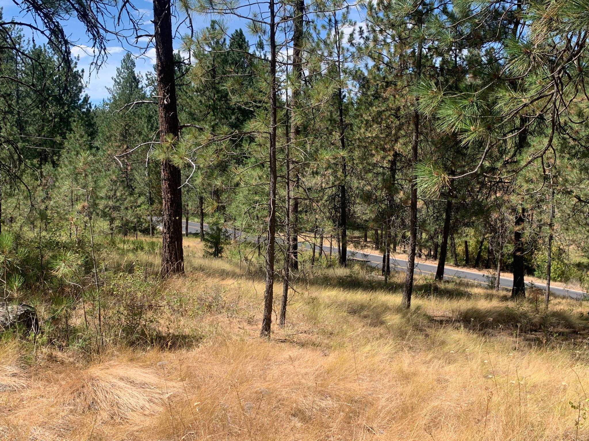 Property Photo: 160xx N Austin Rd WA 99208