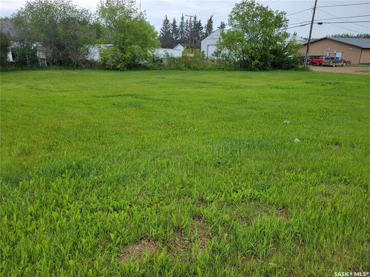 Property Photo:  172 & 174 1st Street W  SK S0M 2K0 