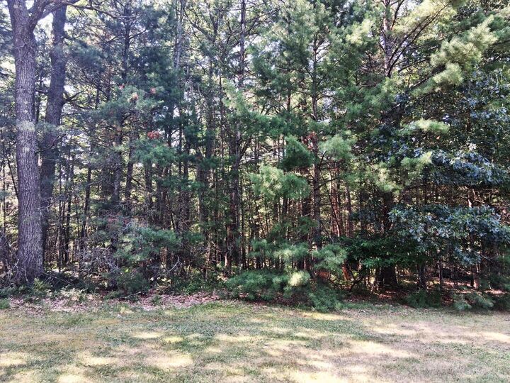 Lot 21 W Nestel Road  Prudenville MI 48651 photo