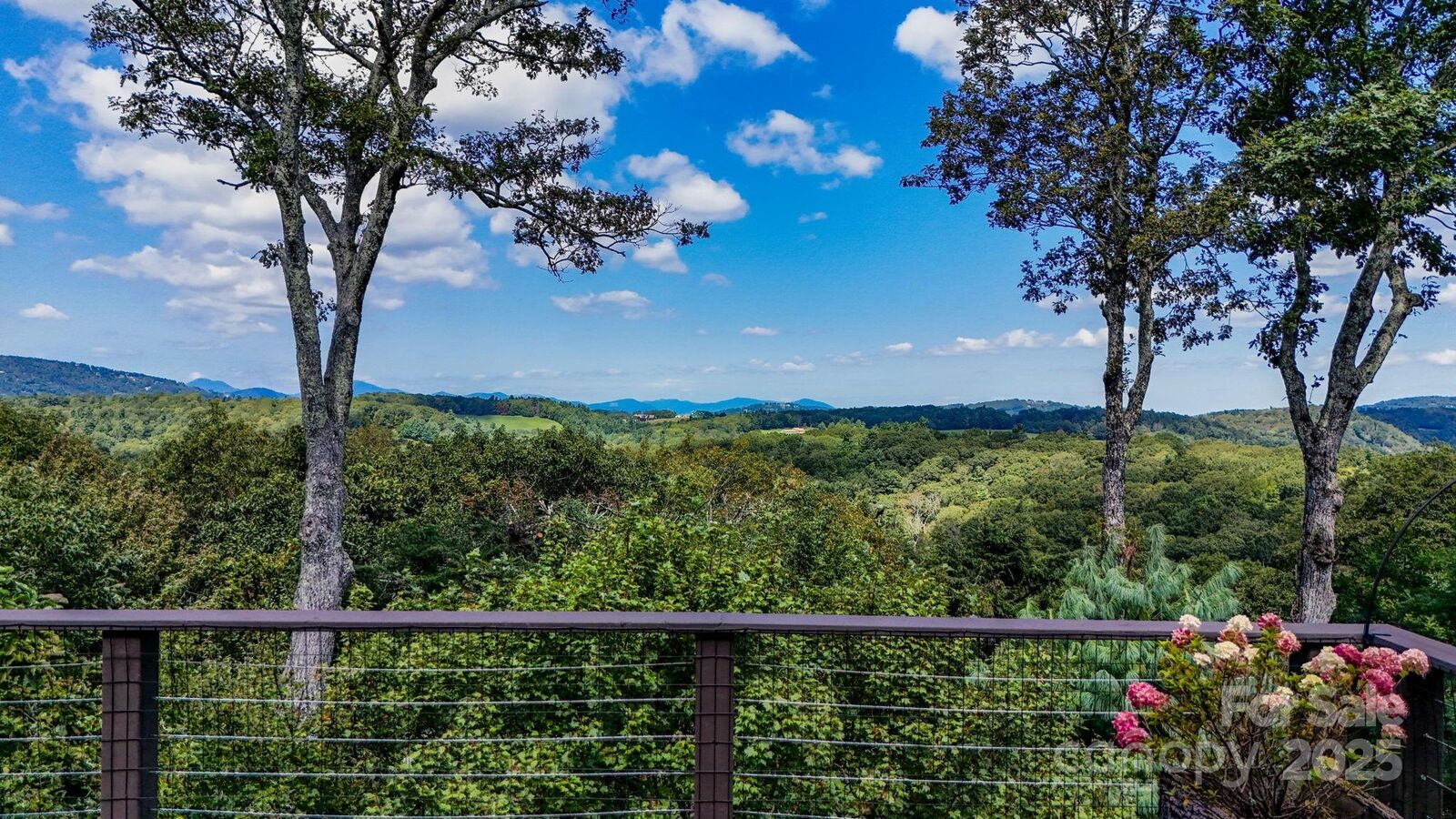 Property Photo:  540 Green Hill Circle  NC 28605 