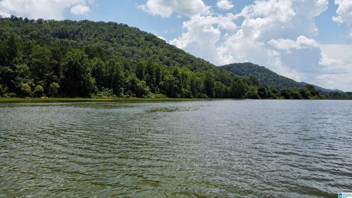 Property Photo:  148 Acres County Road 21 2 Parcels  AL 35953 