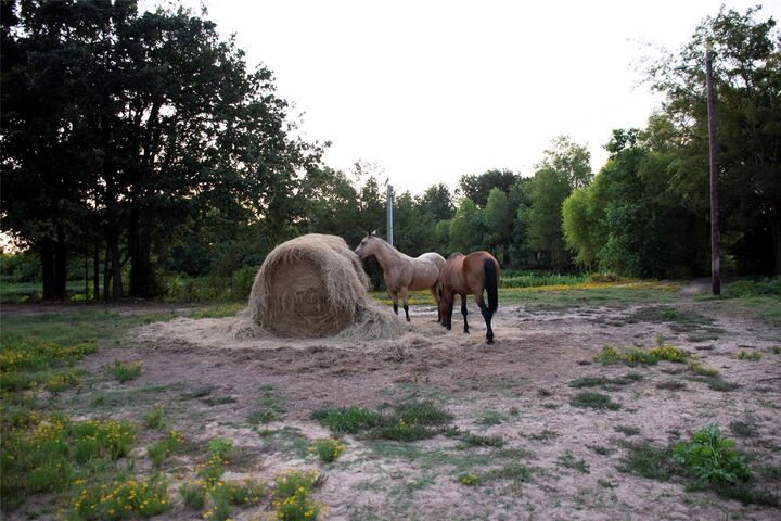 Property Photo: 383 County Road 1875 TX 75844