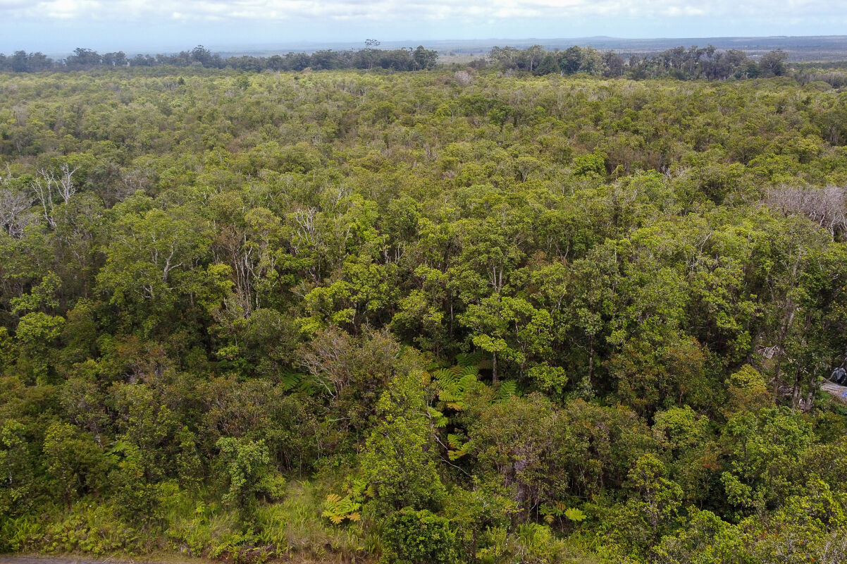 Property Photo:  Road 9  HI 96785 