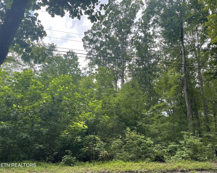 Property Photo: Mallard Baye TN 37861