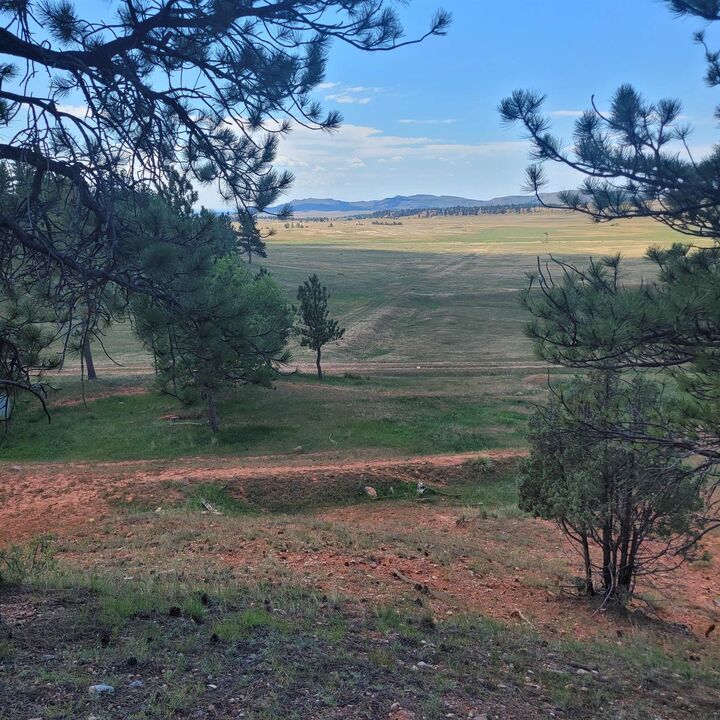 10251 Valley Road  Custer SD 57730 photo