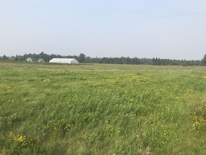 21955 S Steinbeck Road  Rudyard MI 49780 photo