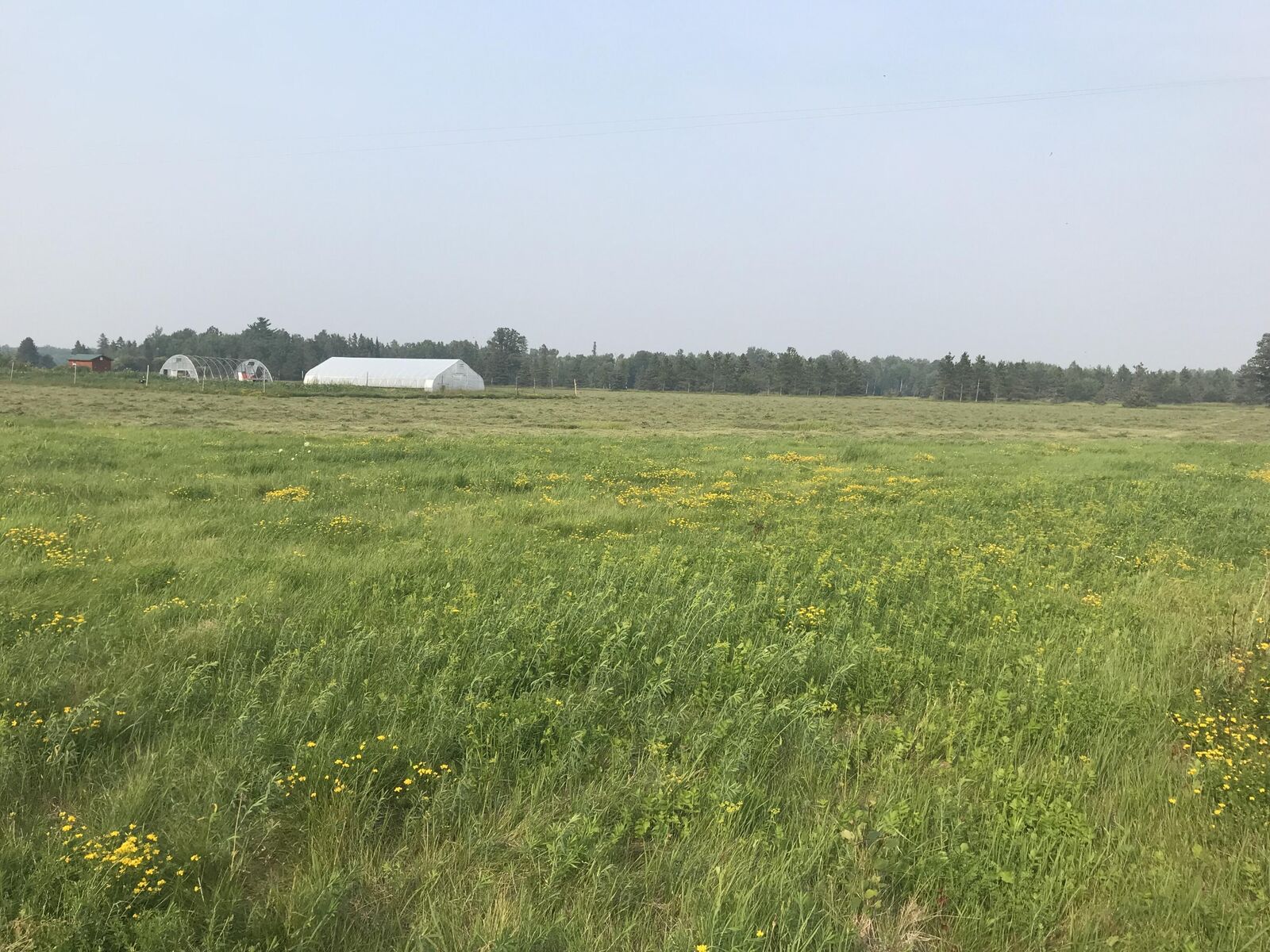 Property Photo:  21955 S Steinbeck Road  MI 49780 