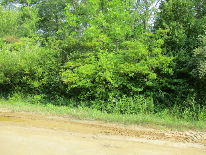 Property Photo:  V/L Miami Avenue  MI 49090 