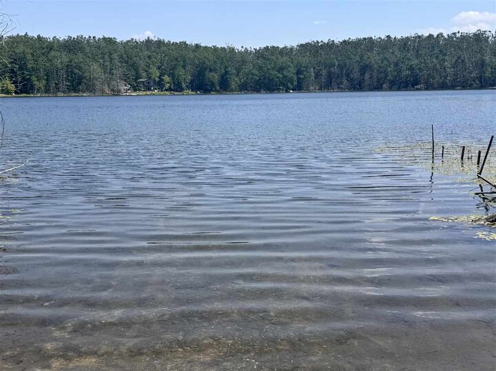 Property Photo:  1941 Limberlost 6  MI 49735