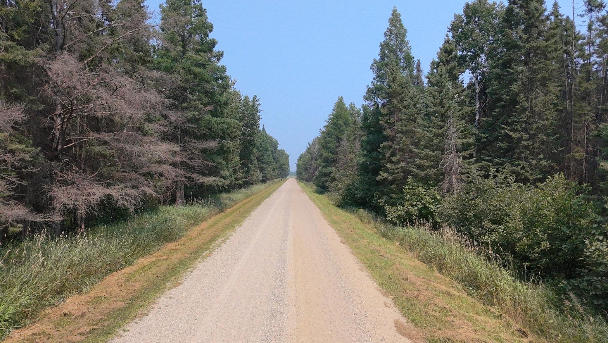 Property Photo:  Tbd 120 Acres Sunflower Road NE  MN 56650 